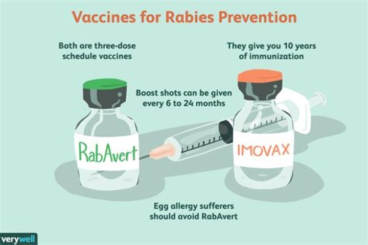 Will there ever be a cure for rabies?