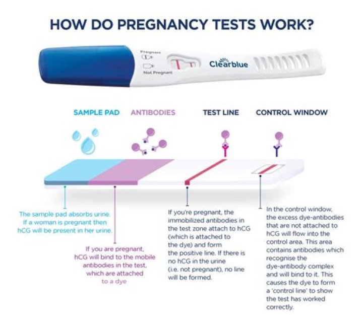 Would a pregnancy test work after a week?